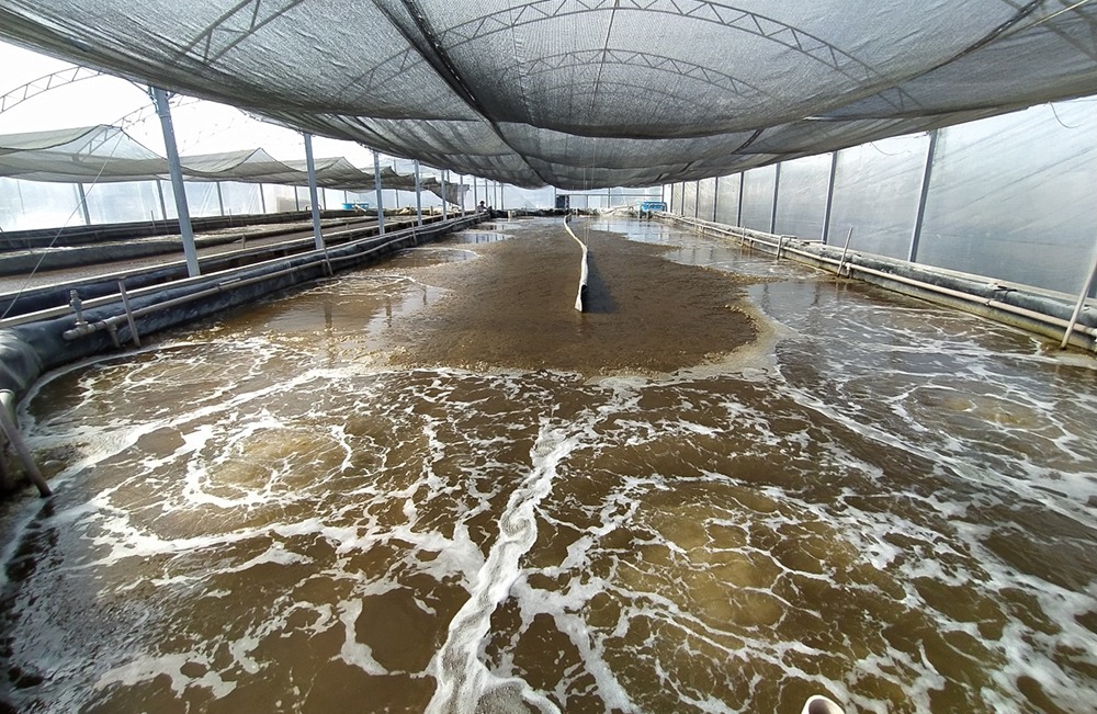 Biofloc System in Indonesia